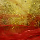 novit� del 13-02-2006