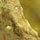 novit� del 27-11-2005