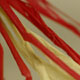 novit� del 09-04-2006