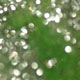 novit� del 09-04-2006