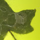 novit� del 23-04-2006