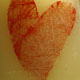 novit� del 31-01-2006
