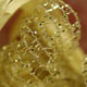 novit� del 08-12-2005