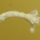 novit� del 27-11-2005