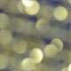novit� del 08-12-2005
